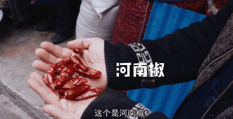 中国美食男人帮又出手了！这神作，能一口气看五集算我输