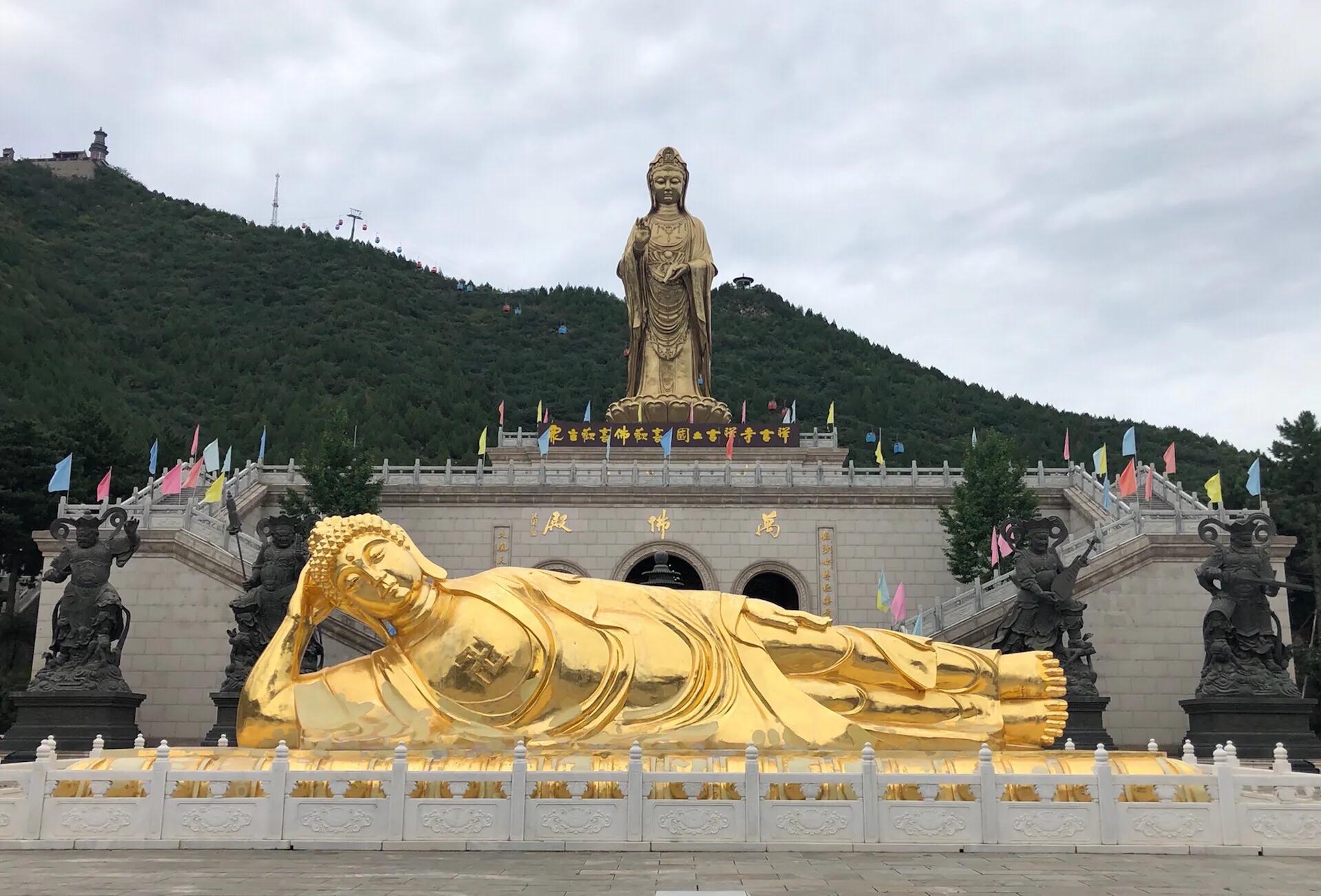 北京密云短视频代运营公司电话,沈阳短视频代运营公司