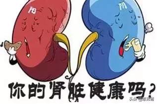 肾病患者吃什么饮食更好,肾病的患者一般吃什么饮食