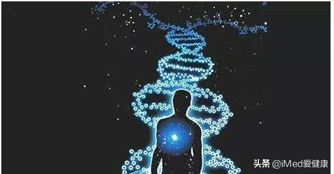 单细胞测序和基因测序区别,基因测序叫什么