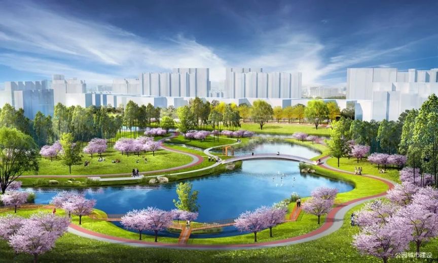 青白江近期大事件,为什么青白江如此重要