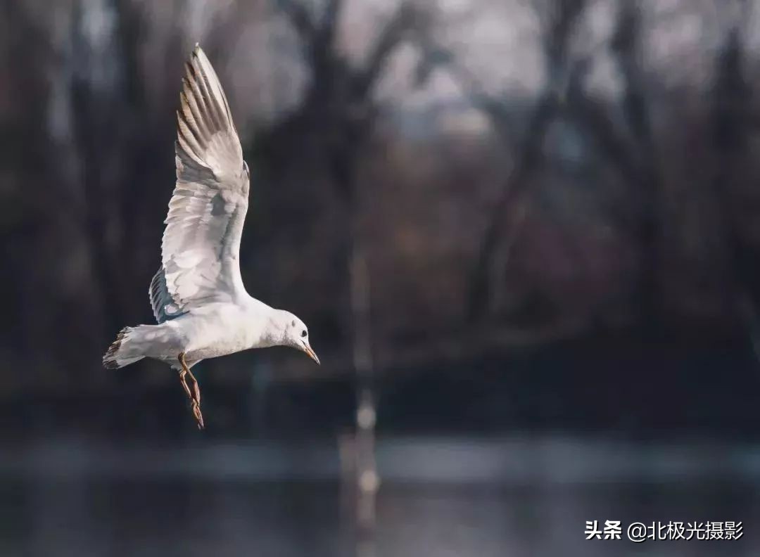 四种曲线调整方法,基本曲线正确使用方法