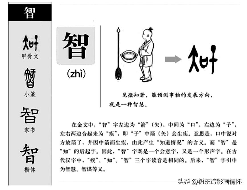 智字的起源,智字经典语录