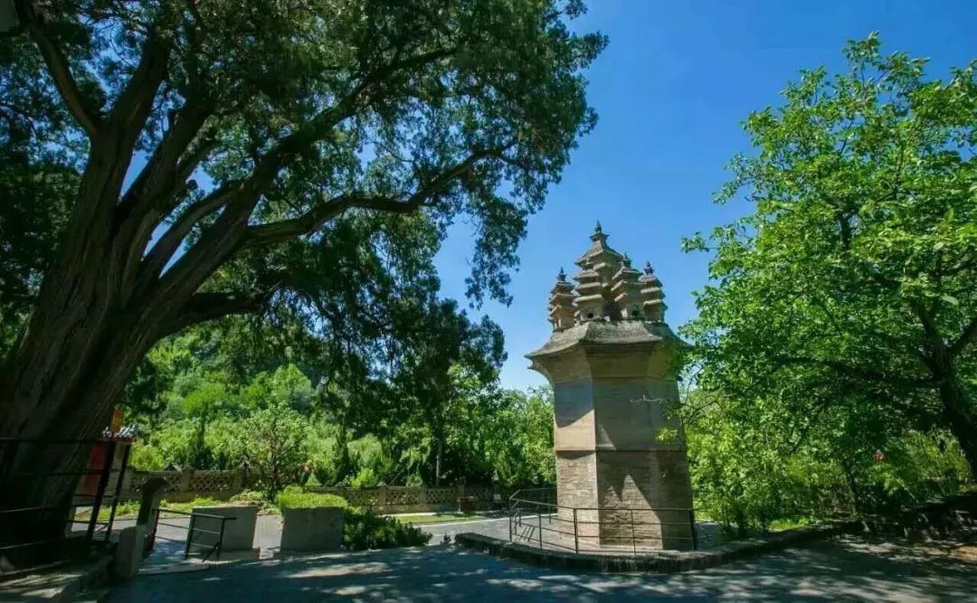 济南免费周末遛娃玩水好去处,济南亲子公园游玩地点推荐