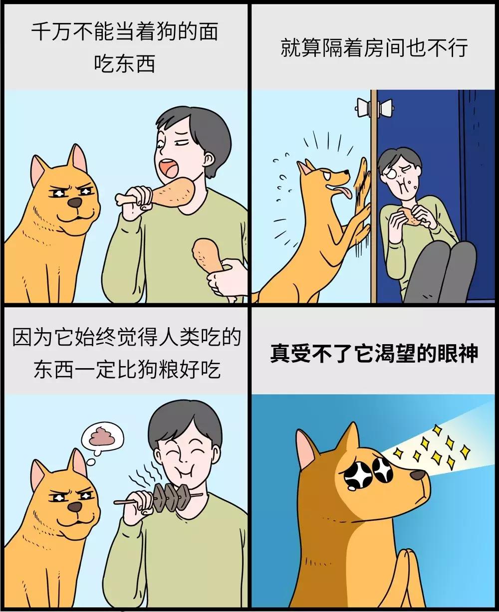 养狗和养猫的区别太真实了,养狗和养猫的五大区别