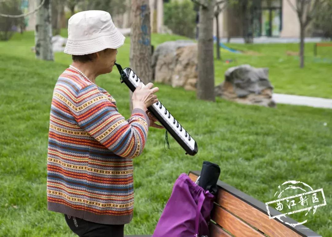 唐城墙遗址公园9区美景视频,西安电子正街的唐城墙遗址公园