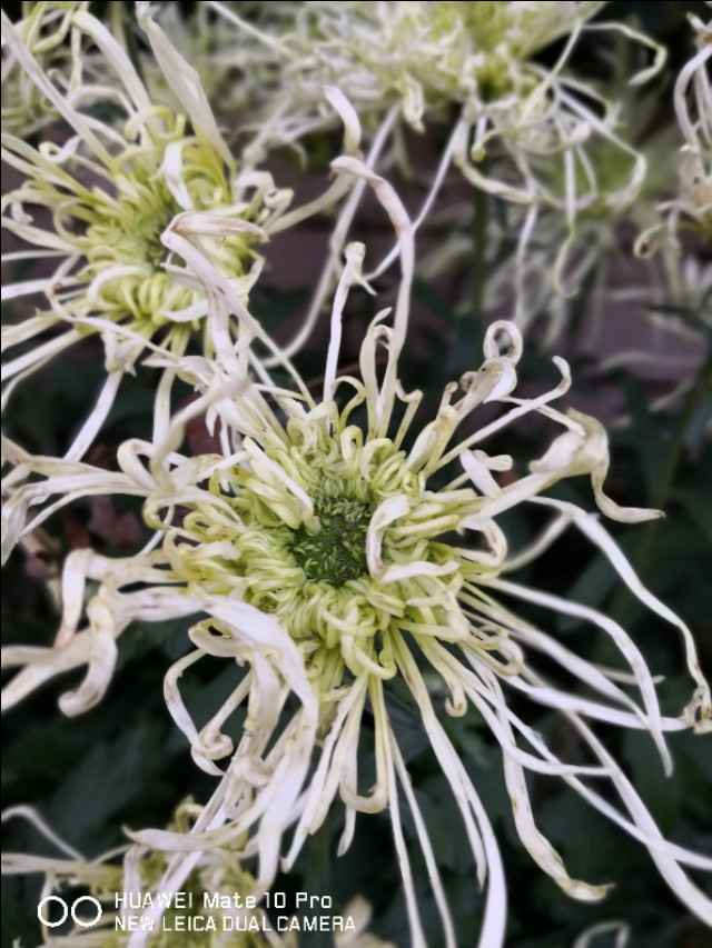 父亲节快到了又想起了我的爸爸,父亲节让我想起了自己的爸爸