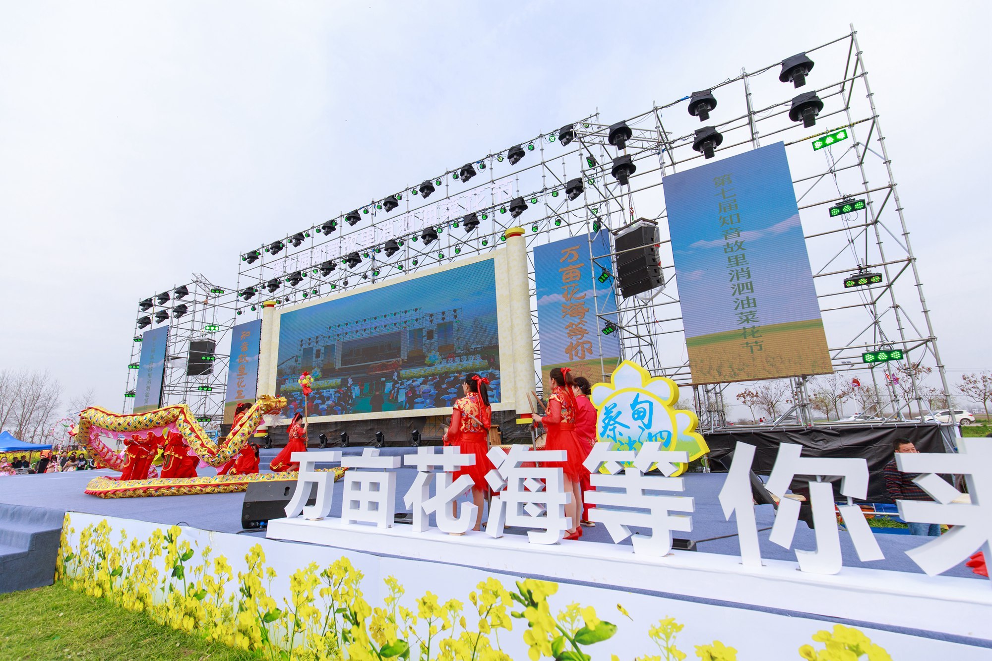 今日春分,武汉这时候不仅有樱花,这里的花随风一吹人都酥了