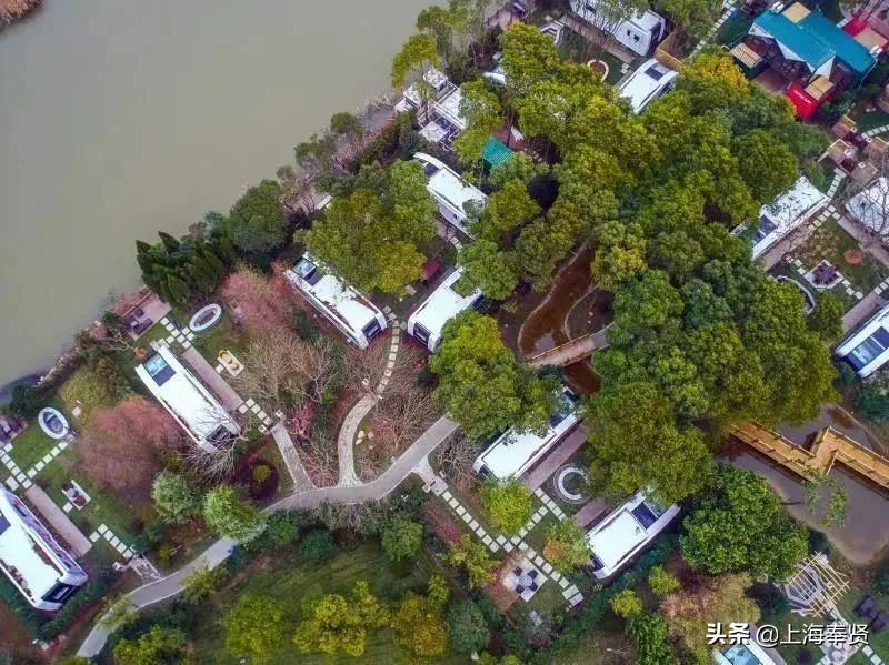 奉贤五一游玩打卡的地方,奉贤休闲度假游玩攻略