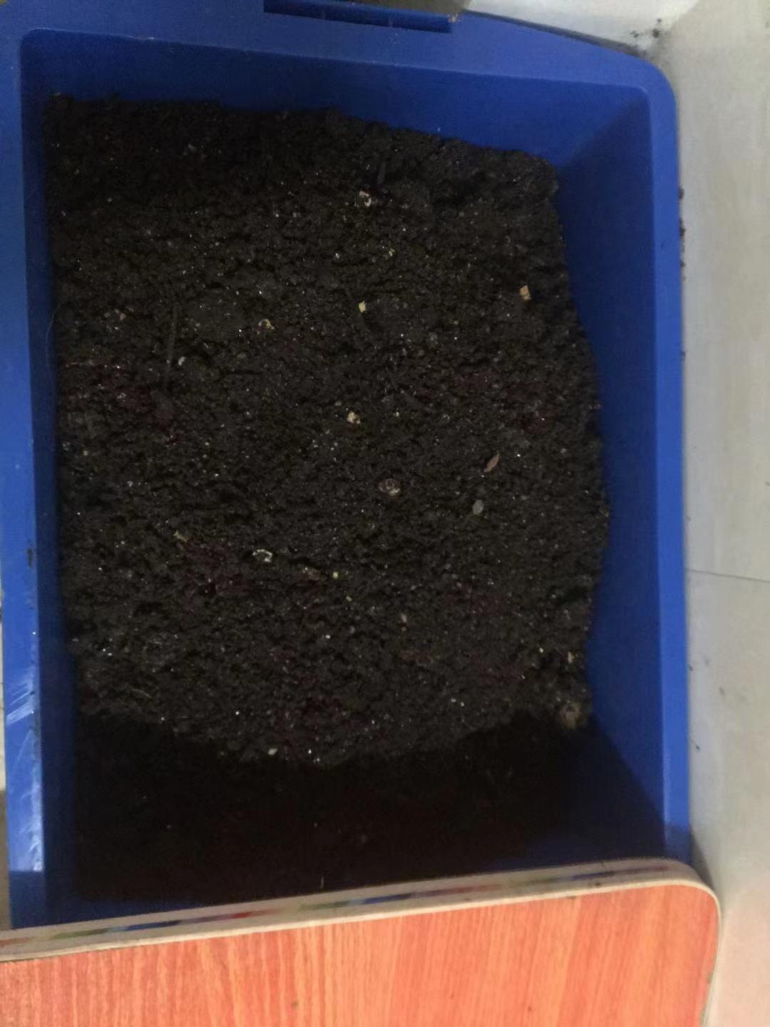 蚯蚓可以帮助堆肥吗,堆肥蚯蚓太多怎么办