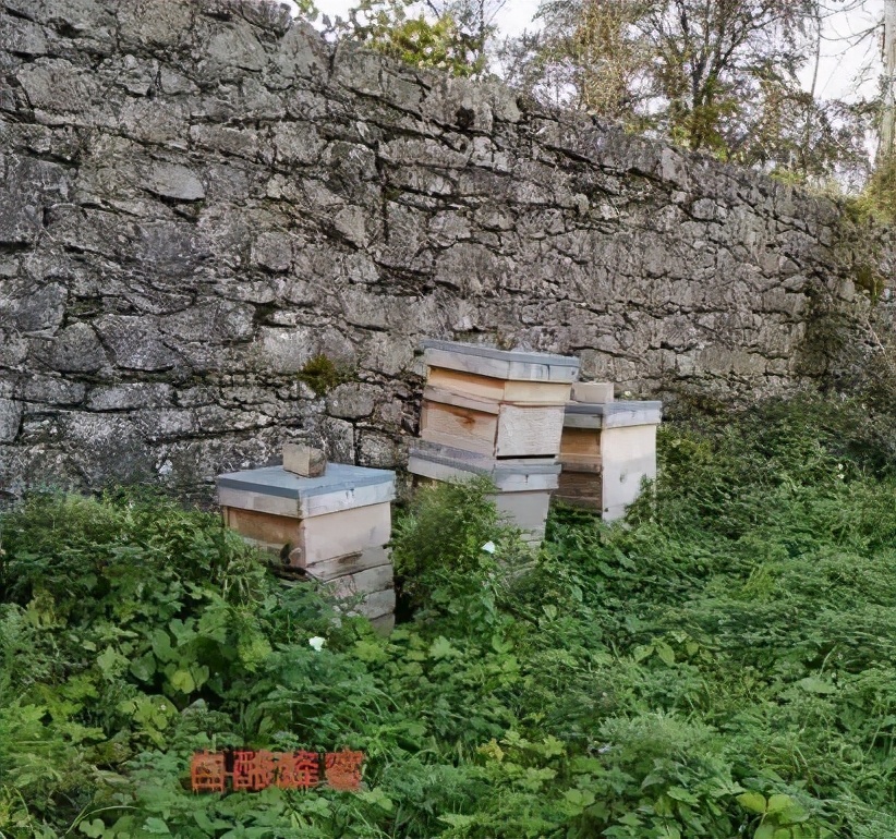 从英国回国为什么要转机,从英国回国需做哪些准备