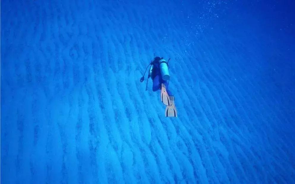 真正的君子是看透了人性,所谓君子是什么意思