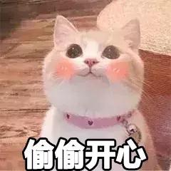 平价冬季面霜,冬季保湿补水面霜十大排名