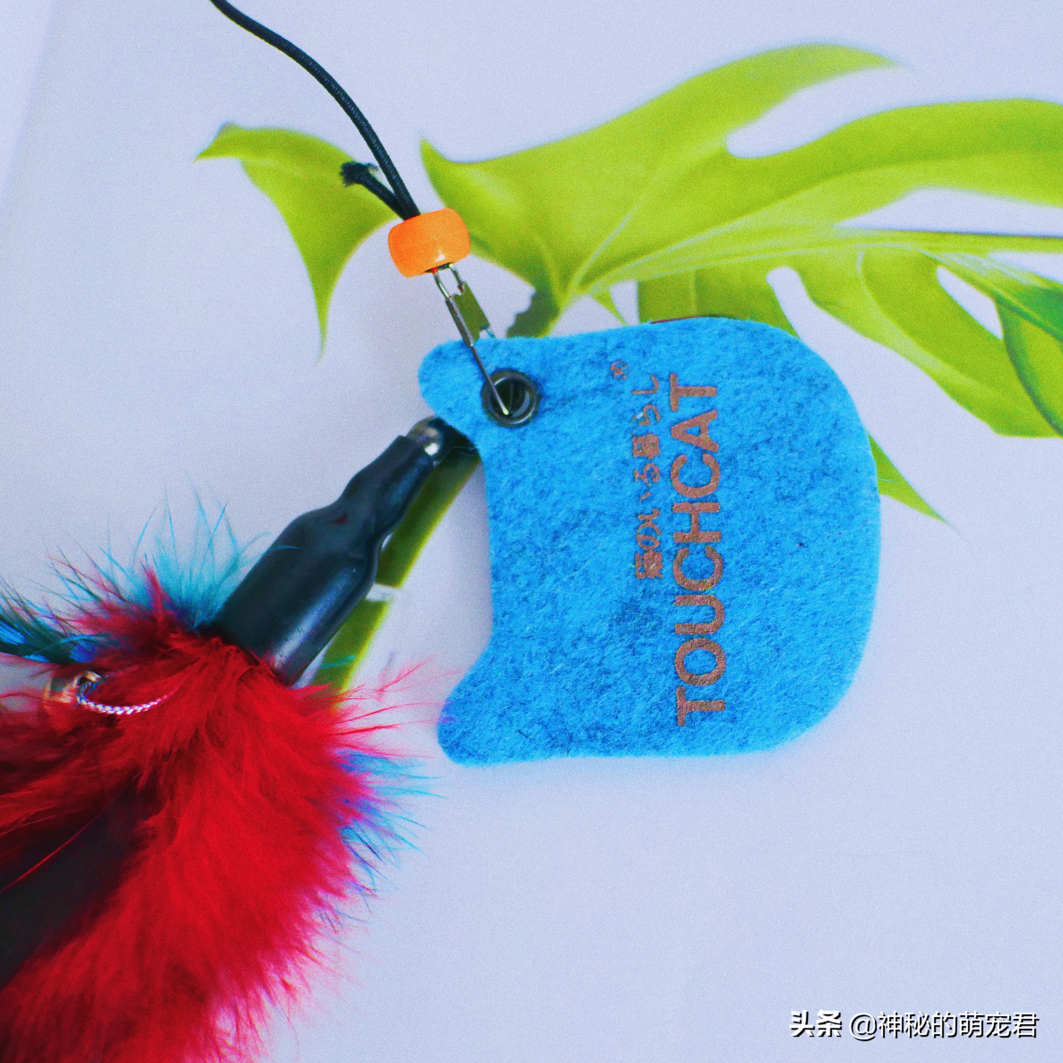 什么逗猫棒猫咪会玩,怎么做猫咪玩的逗猫棒