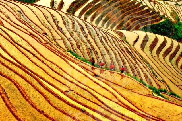 等待一个人来一场说走就走的旅行,等一个人陪我去秋天的腾冲