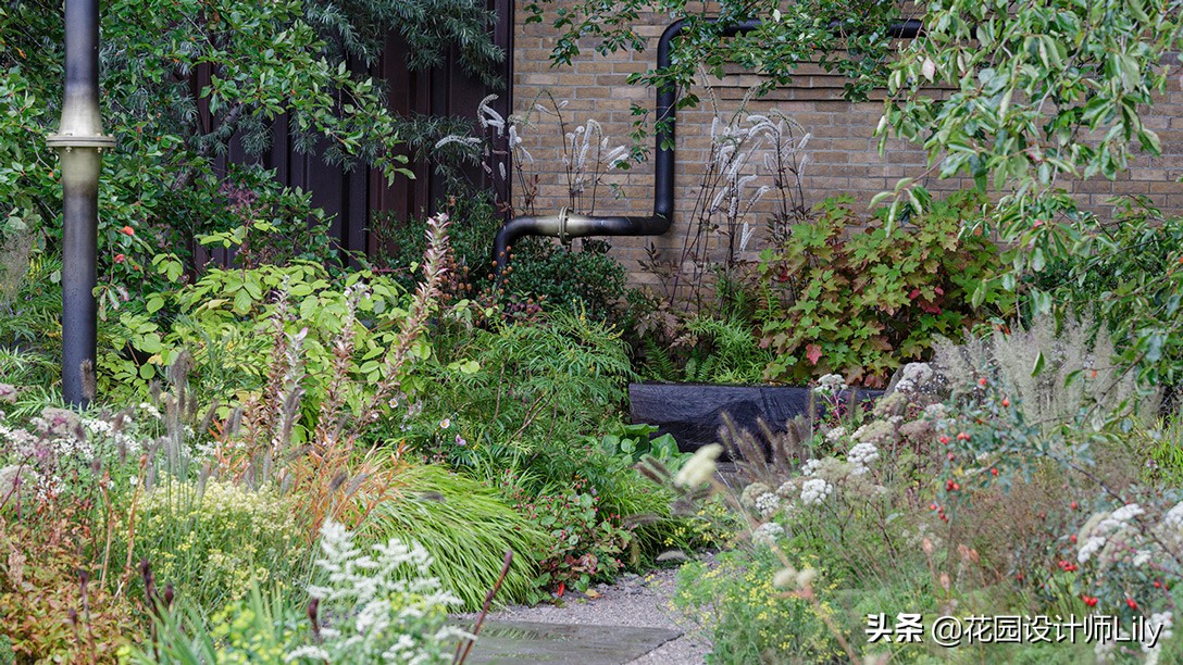 2023年切尔西花展各个花园的介绍,切尔西花展最佳花园