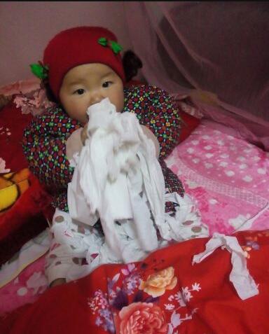 宝宝爱撕东西,宝宝自从学会撕纸