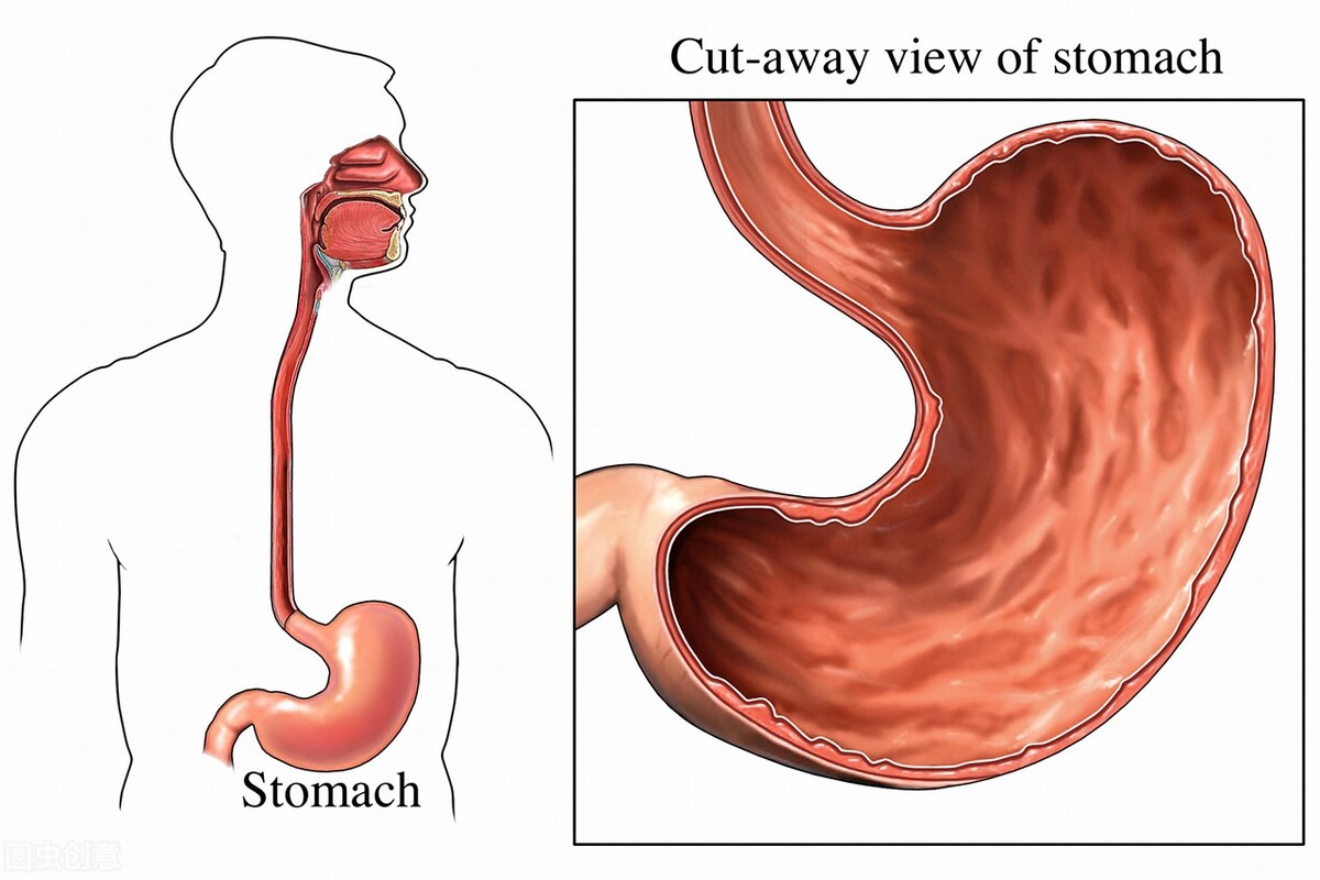 火烧心！胃食道逆流该怎么办？