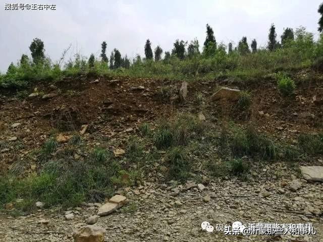 米芾临沂使君帖高清图,米芾作假帖