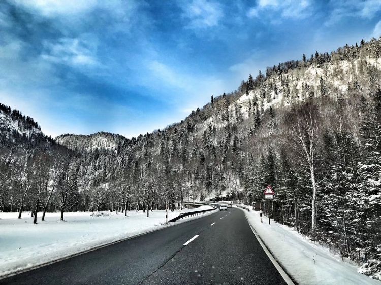 汉诺威音乐和戏剧学院博士,汉诺威音乐戏剧大学