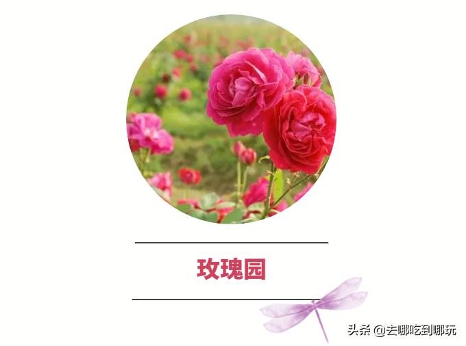 58抢花都志惠农场+玻璃桥套票惊险横跨268米更有环球飞车项目