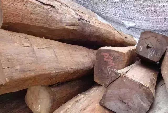 你们知道吗？非洲酸枝只是实木，不是红木