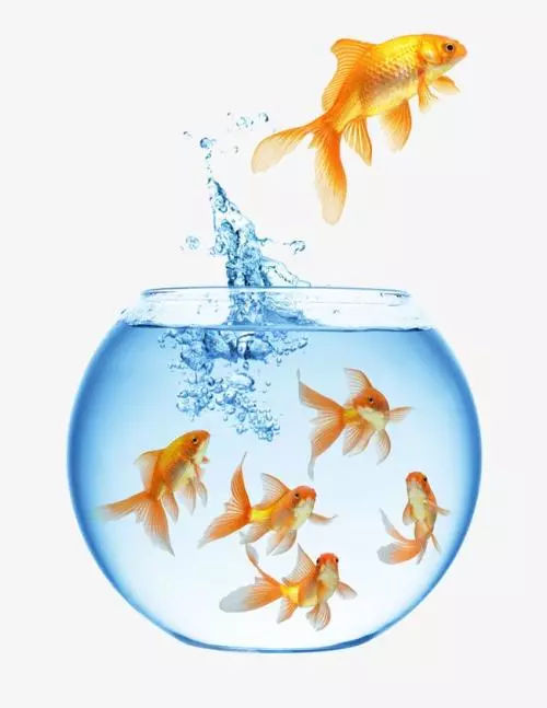 如何转行互联网技术岗位,太原中软