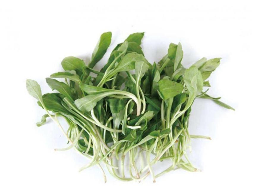 夏季湿气重吃什么排湿最快,祛体内湿毒的最好最快的方法