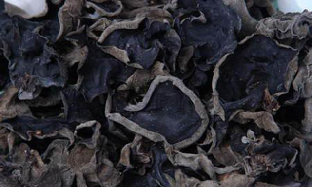 “素中之肉”——木耳，有何本事能让古代文人偏爱它？