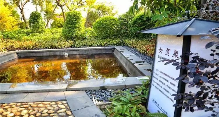 清远温泉攻略大全,清远有哪些温泉值得推荐