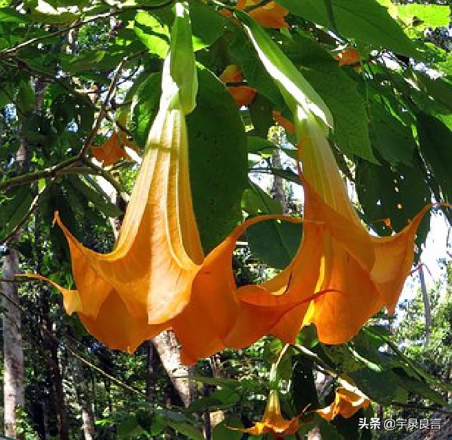 句句入骨的人生感悟个性签名,简短经典精辟走心的个性签名
