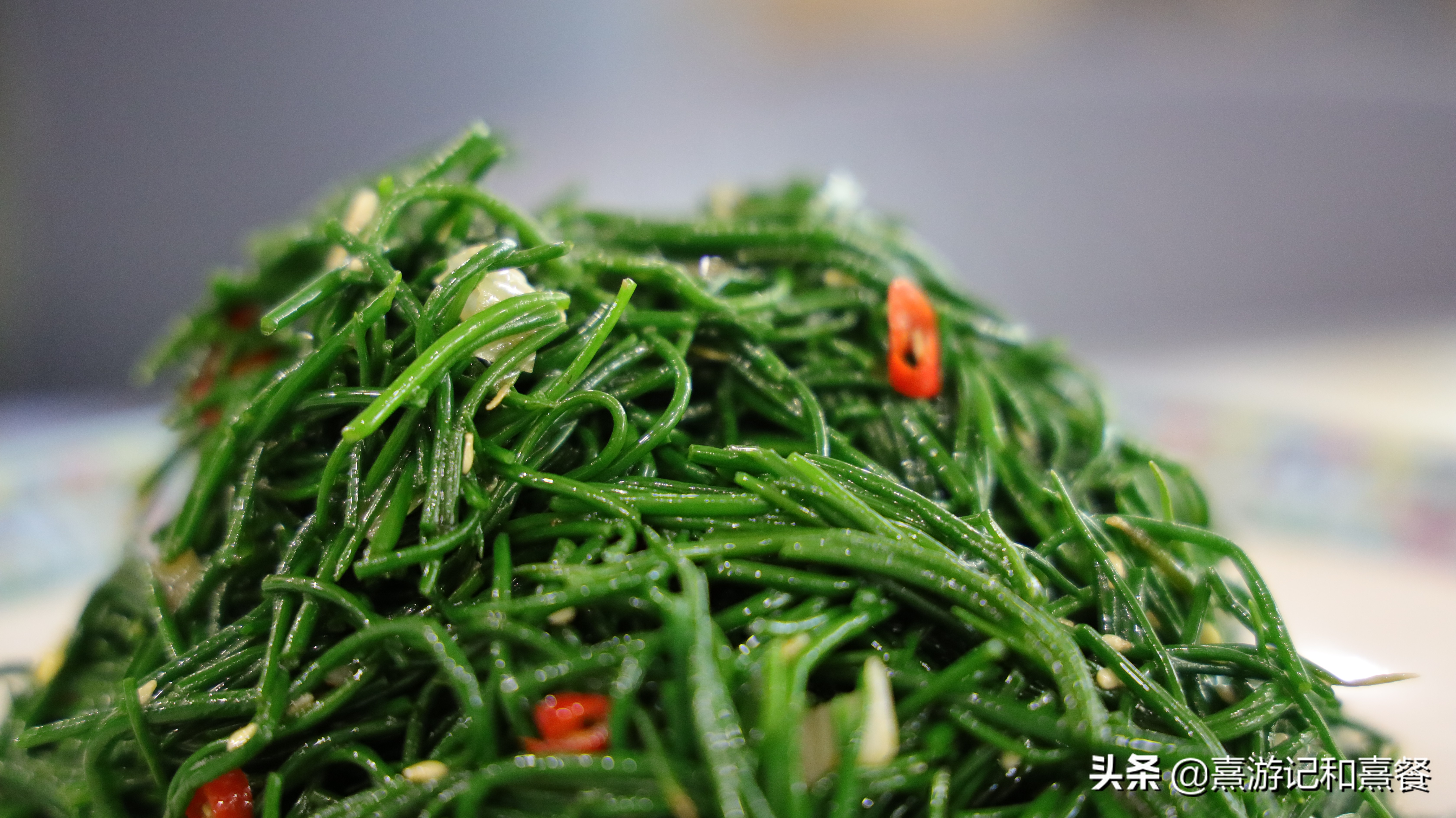 沙漠之城的特色,中卫的沙漠好玩吗