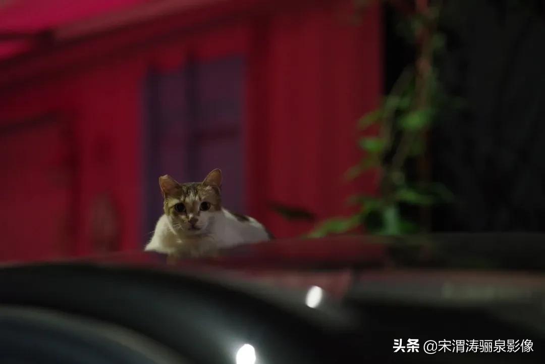 pentax十大经典相机,pentax好吗