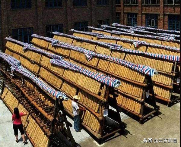 安化千两黑茶制作过程,安化千两茶的工艺