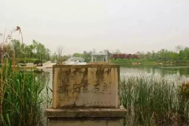 南京免费公园免费开放日一览表,南京免费公园景点推荐