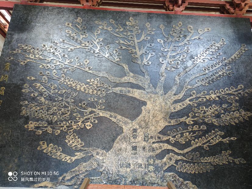 浙江丽水五日游,丽水景宁三日游攻略