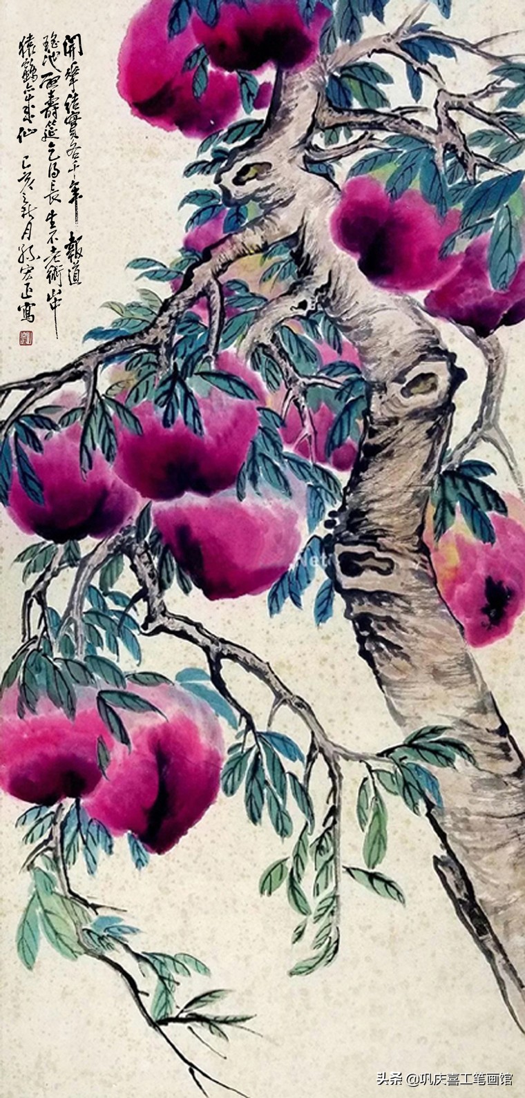 祝寿寿桃图片大全,寿桃祝寿图