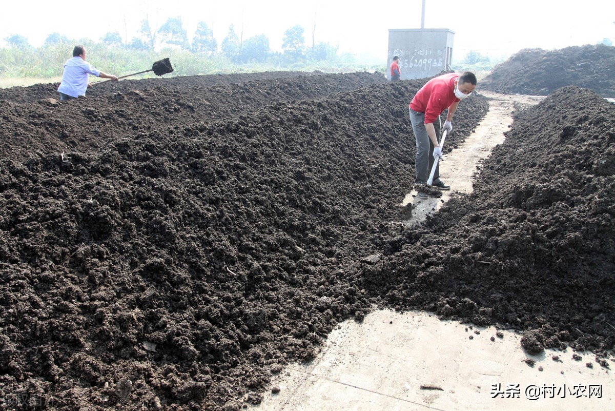 新农村创业适合做的几个生意项目,乡镇致富门路500条免费阅读