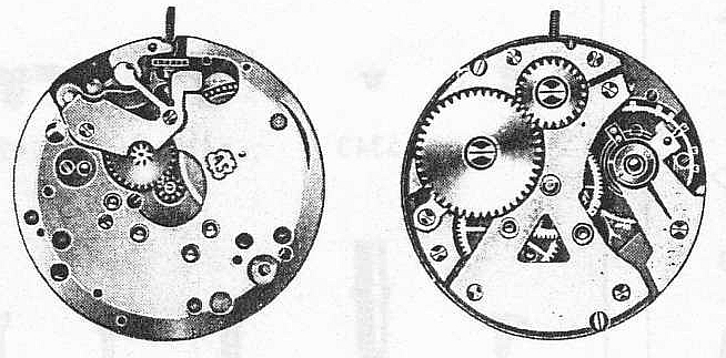因为一条鱼爱上一个人,因一条鱼丢了一条命