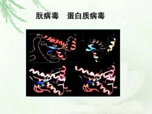 病毒不具有什么所以不能称为生命,为什么说病毒创造了生命