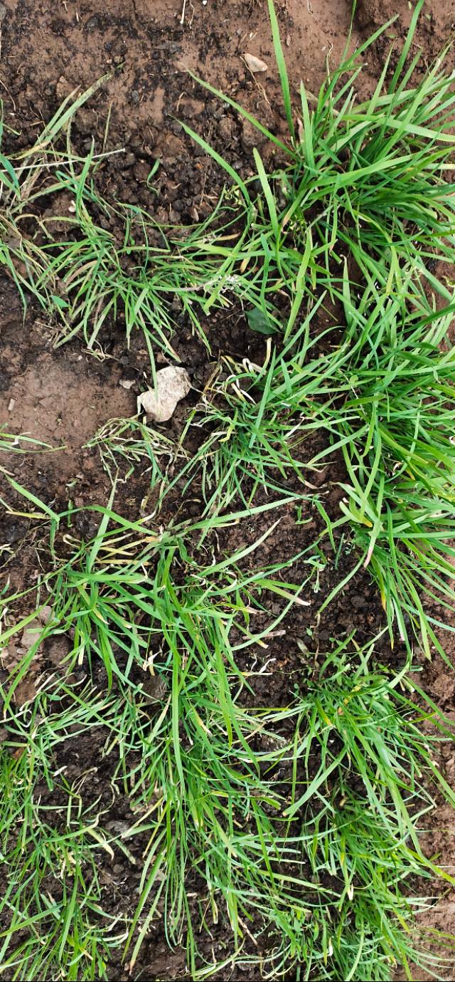 济南南部山区租个房子跟谁租,济南南部山区租一个别墅有吗