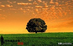 【创业故事】卖菜大学生月入30万的创业故事