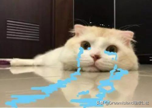 淘宝买衣服*规则潜**你必须知道!学会了闭着眼都不会买错!