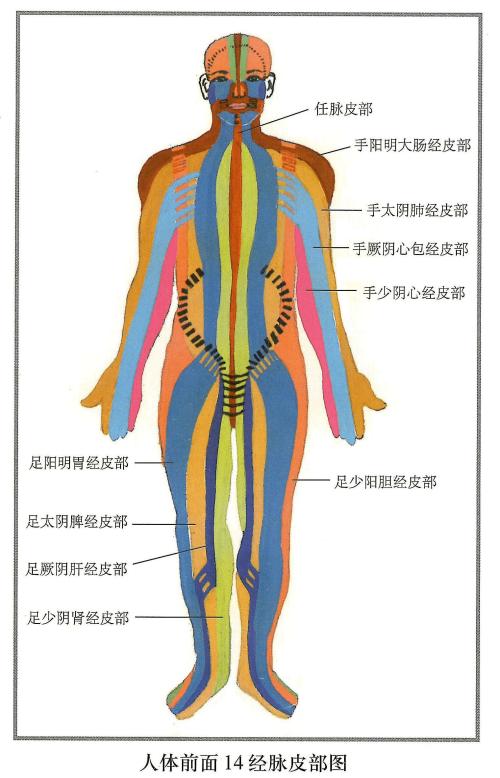 经脉和络脉的区别,经脉与络脉如何区别