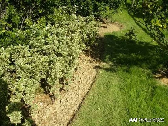 小区绿化养护一般做哪些工作,小区绿化养护需要什么资质