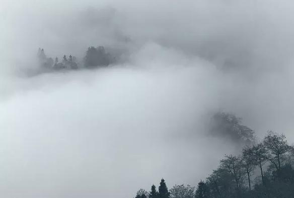 120首经典古诗词你只知一句,100句最经典的古诗词大全