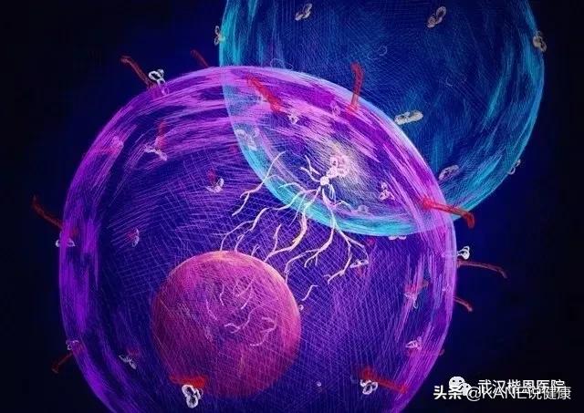 人增强抵抗力,人体增强身体免疫力有哪些方法