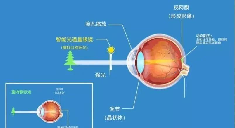 除了ok镜还有什么镜可以延缓近视,哺光仪和阿托品控制近视哪个好