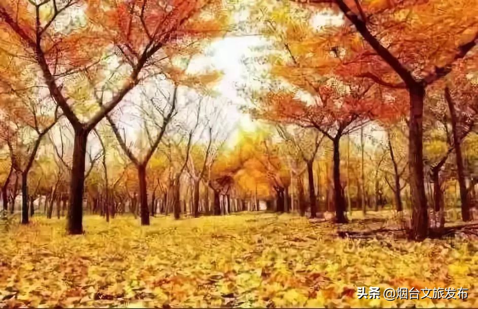 莱州金秋旅游去处,山东莱州旅游文化节