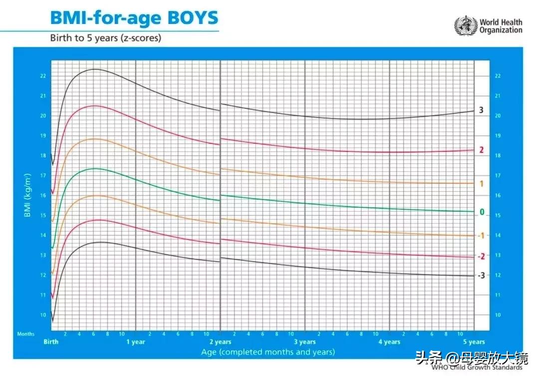 孩子秋季长高关键看这5点,避免这五件事孩子长高十厘米